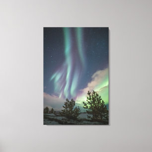 Northern Lights Trees Canvas Print