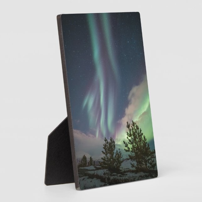 Northern Lights Trees Plaque (Side)