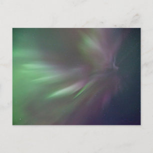 Northern Lights   Whitehorse, Yukon Postcard