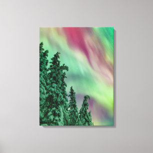 Northern Lights Winter in Glennallen, Alaska Canvas Print