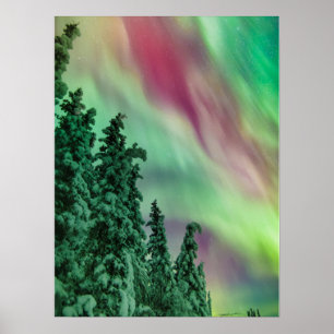 Northern Lights   Winter in Glennallen, Alaska Poster