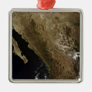 Northern Mexico Metal Ornament