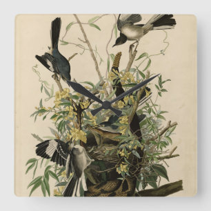 Northern Mocking Bird, Audubon's Birds of America Square Wall Clock