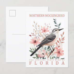 Northern Mockingbird Bird of Florida USA Travel Postcard