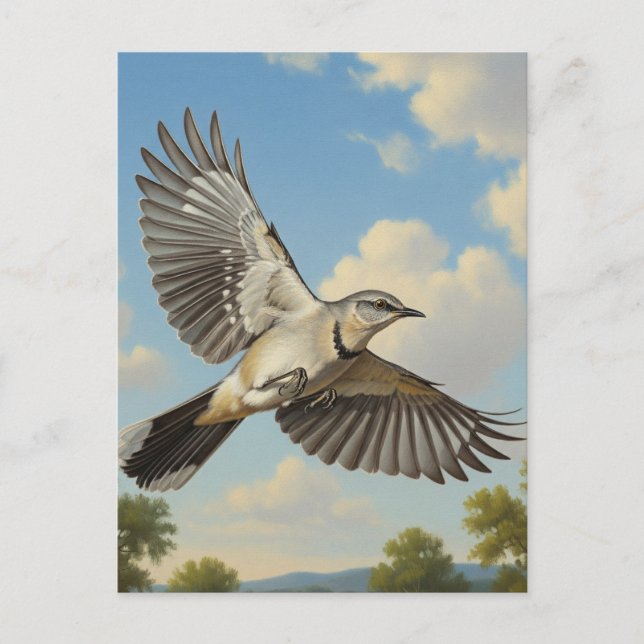 Northern Mockingbird in flight Postcard (Front)
