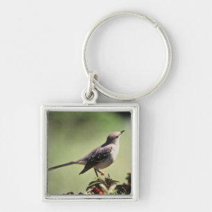Northern mockingbird keychain