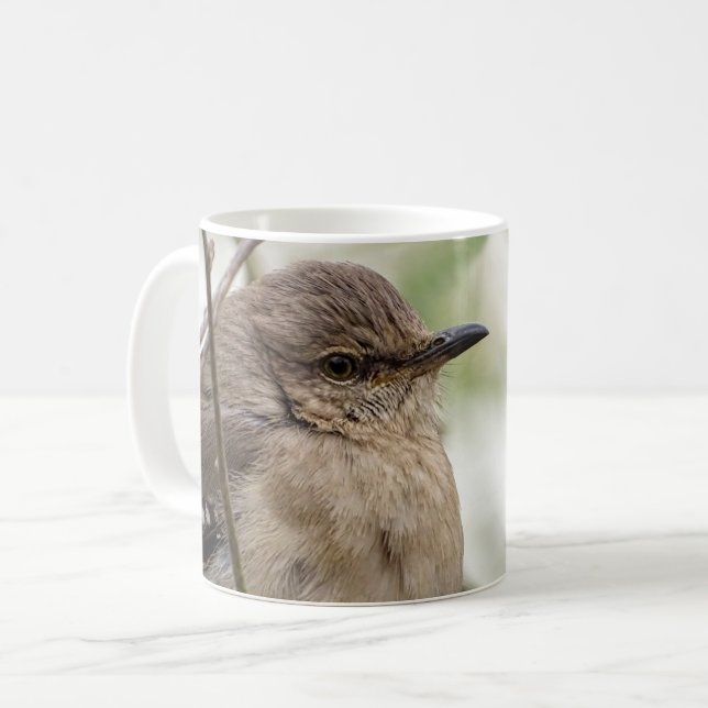 Northern Mockingbird Portrait Bird Photo Coffee Mug (Front Left)
