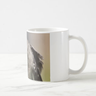 Northern Mockingbird takes a Bow Apparel & Gifts Coffee Mug