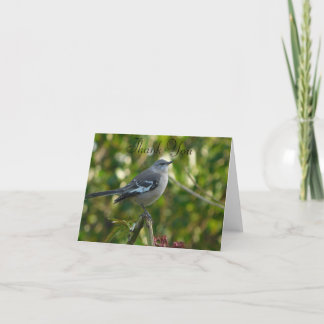 Northern Mockingbird with Flowers Safety Harbour F Thank You Card