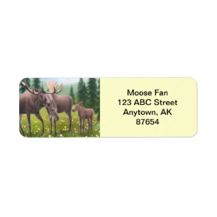 Northern Moose Family Customizable
