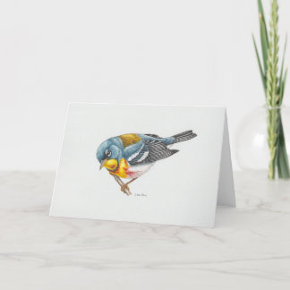 Northern Parula Warbler Art Card