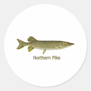 Northern Pike Art (titled) Classic Round Sticker
