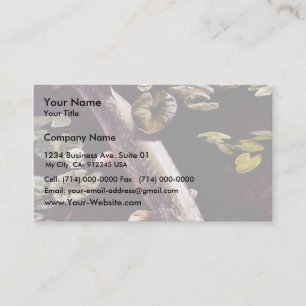 Northern Pike Business Card