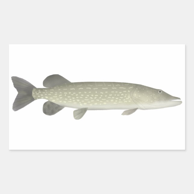 Northern Pike Sticker (Front)
