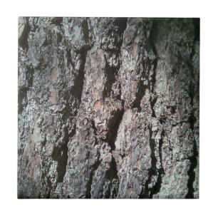 Northern Pine Tree Bark Tile