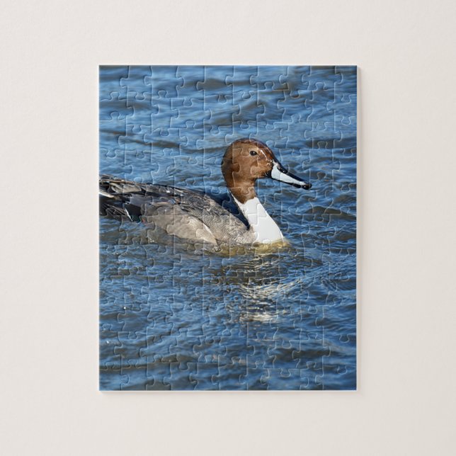 Northern Pintail Duck Jigsaw Puzzle (Vertical)