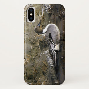 Northern Pintail Duck Lovers Case-Mate iPhone Case