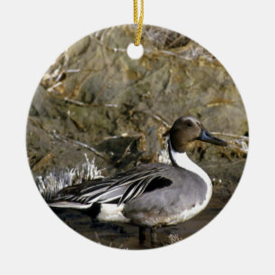Northern Pintail Duck Lovers Ceramic Ornament