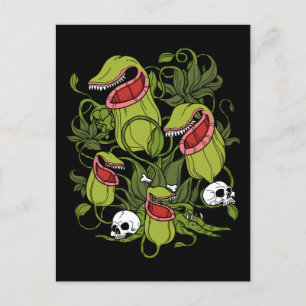 Northern Pitcher Sarracenia Carnivorous Plants Postcard