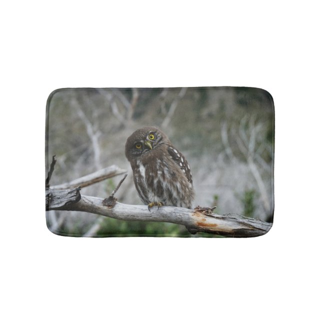 Northern Pygmy Owl Bath Mat (Front)