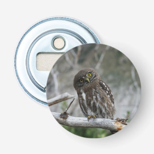 Northern Pygmy Owl Bottle Opener