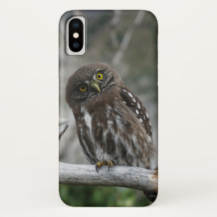 Northern Pygmy Owl Case-Mate iPhone Case