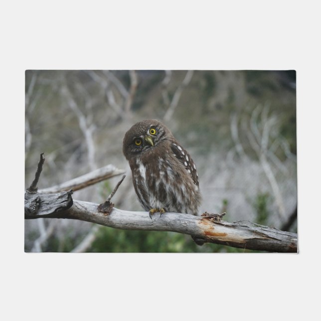 Northern Pygmy Owl Doormat (Front)