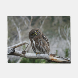 Northern Pygmy Owl Doormat