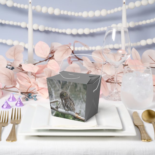 Northern Pygmy Owl Favor Box (Wedding)