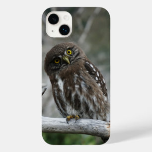 Northern Pygmy Owl iPhone 14 Plus Coque