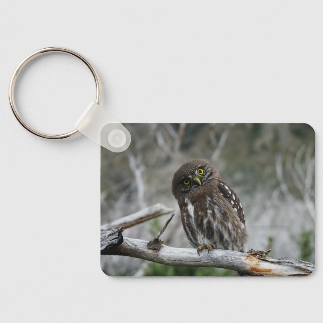 Northern Pygmy Owl Keychain (Back)