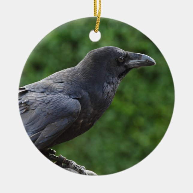 Northern Raven Ceramic Ornament (Front)