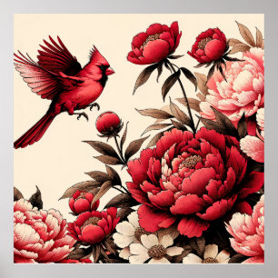 Northern Red Cardinal Bird Peonies Peony Flower    Poster