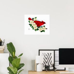 Northern Red Cardinal Poster