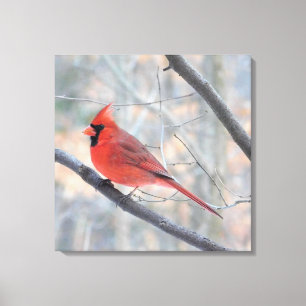 Northern Red Cardinal Wrapped Canvas Print