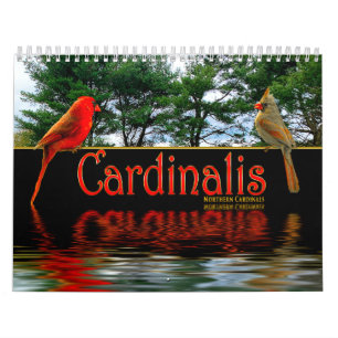 Northern Red Cardinals Cardinalis Beautiful Photos Calendar
