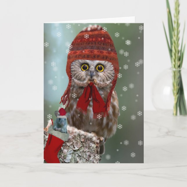 Northern Saw-whet Owl Christmas Holiday Card (Front)