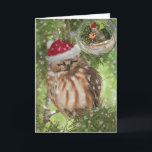Northern Saw-whet Owl Christmas Holiday Card<br><div class="desc">Northern Saw-whet Owl Christmas</div>