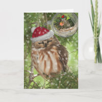 Northern Saw-whet Owl Christmas