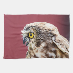 Northern Saw-Whet Owl Portrait Kitchen Towel