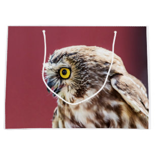 Northern Saw-Whet Owl Portrait Large Gift Bag