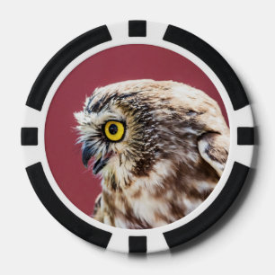 Northern Saw-Whet Owl Portrait Poker Chips