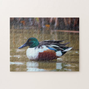 Northern Shoveler Duck at the Pond Jigsaw Puzzle