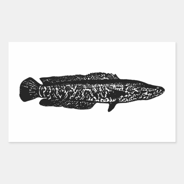 Northern Snakehead Sticker (Front)
