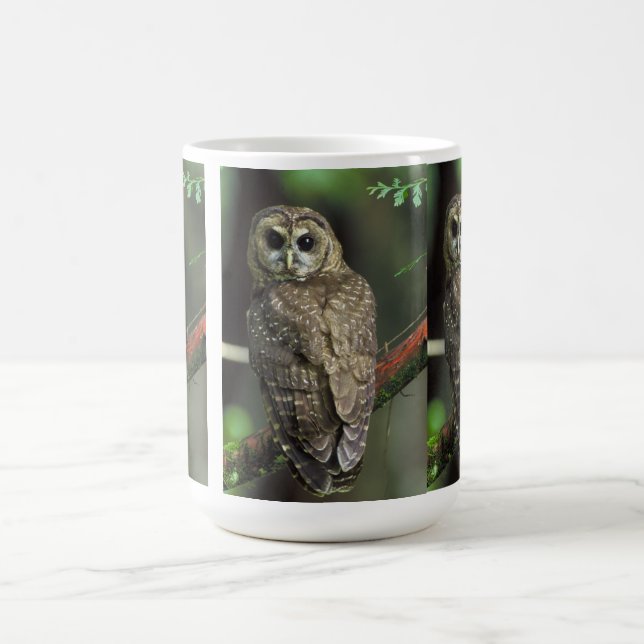 Northern Spotted Owl Coffee Mug (Center)
