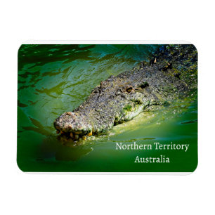 Northern Territory Saltwater Crocodile  Magnet