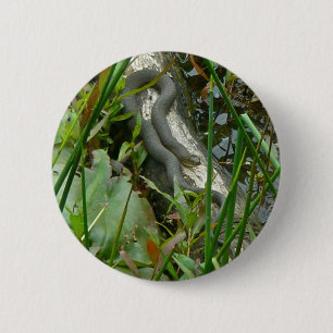 Northern Water Snake Basking on Log Multiple Items 2 Inch Round Button