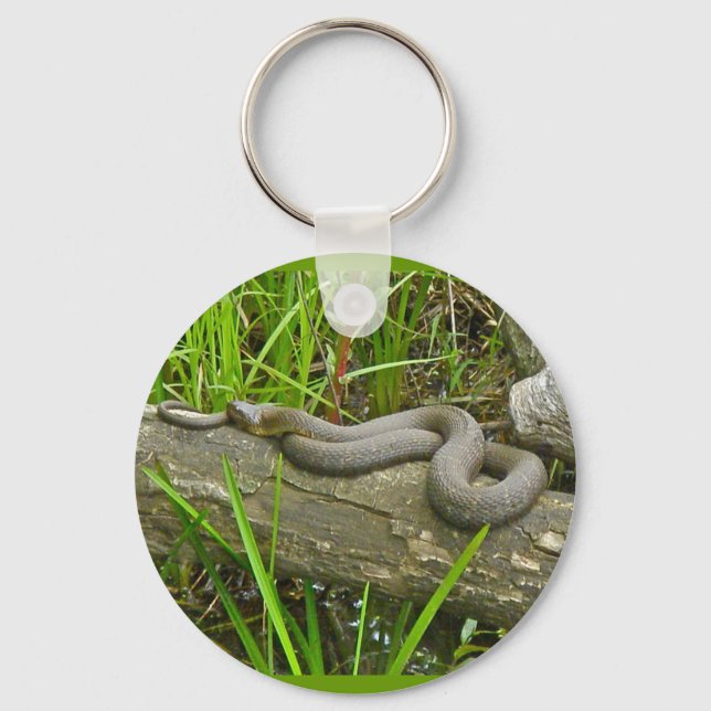 Northern Water Snake Basking on Log Multiple Items Keychain (Front)
