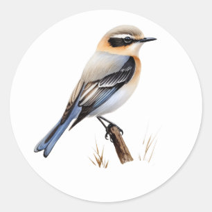 Northern Wheatear Songbird Stickers