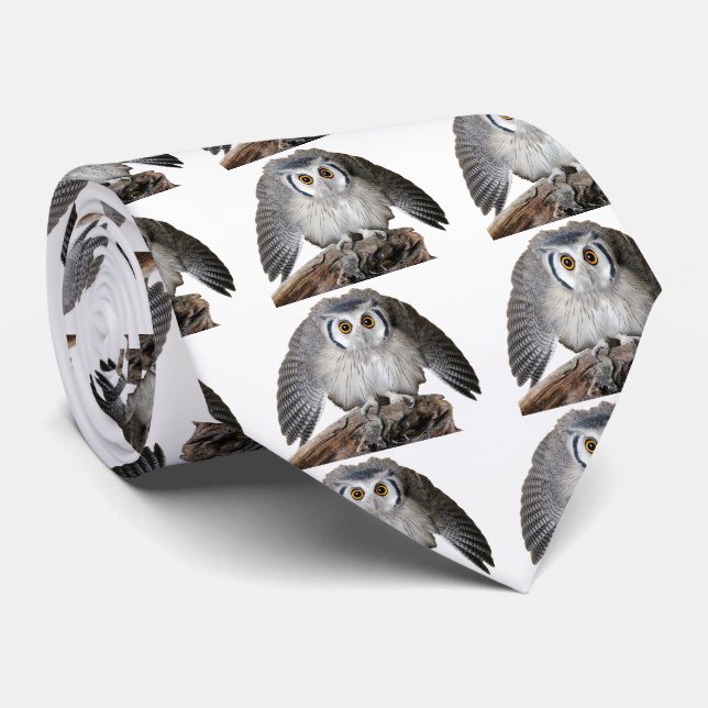 “Northern White-faced Owl” Tie (Rolled)